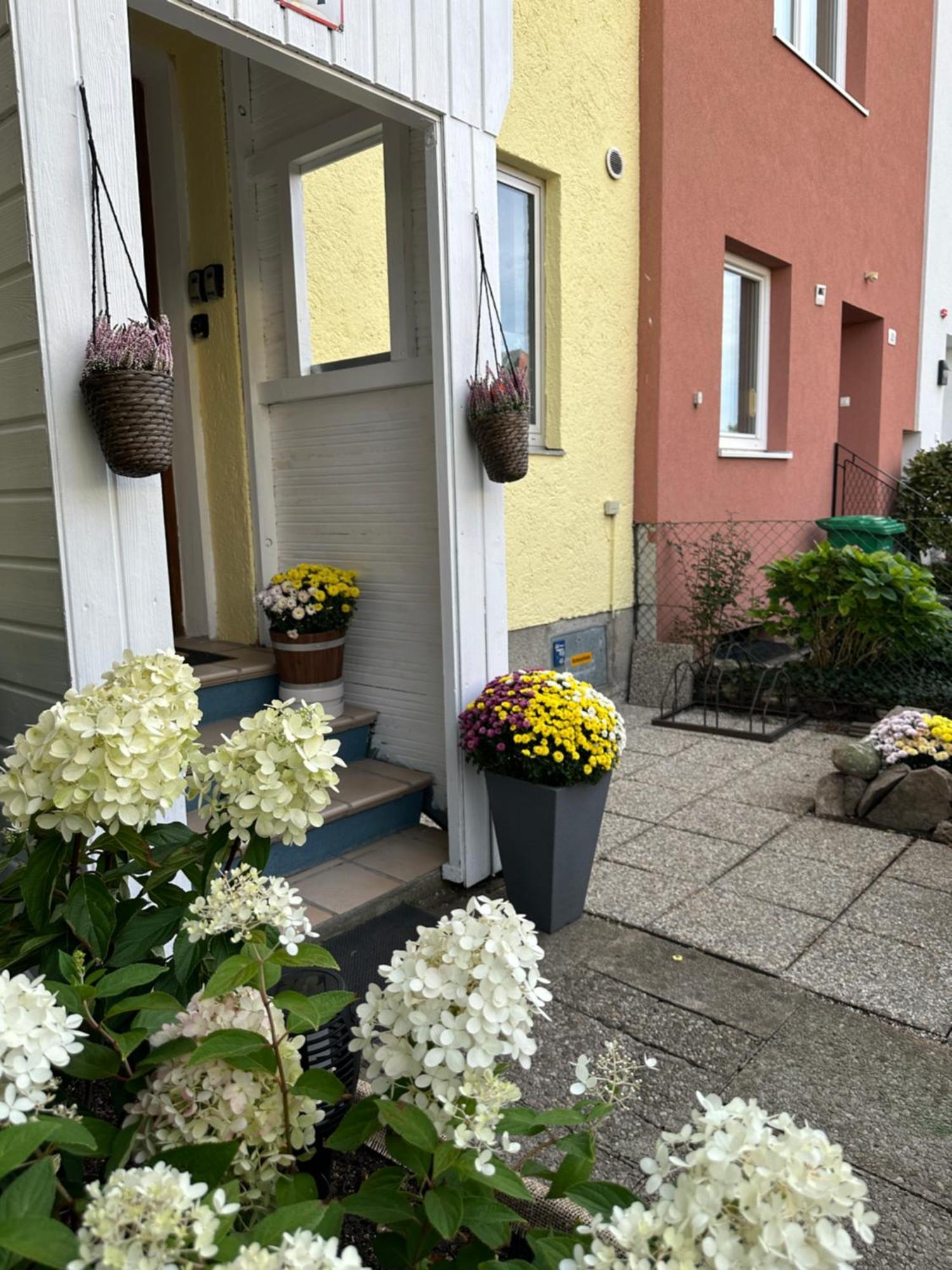Green Paradise & Cozy Retreat Salzburg With Free Parking Exterior photo